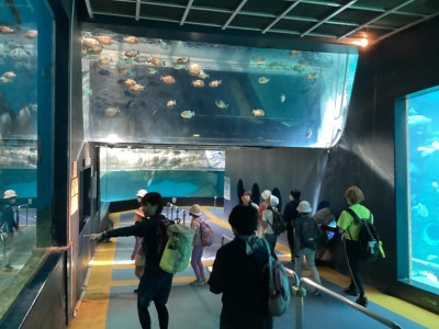 ⑪２日水族館